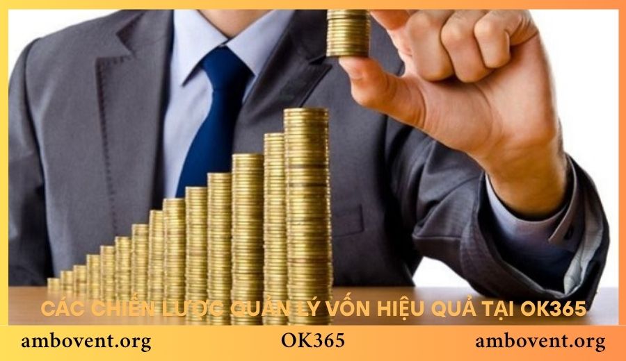 Các chiến lược quản lý vốn hiệu quả tại OK365