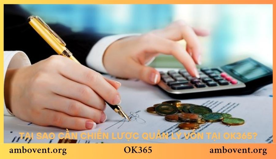 Tại sao cần chiến lược quản lý vốn tại OK365?