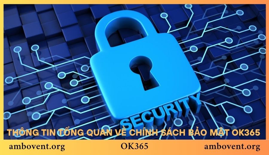 Nội dung chi tiết của chính sách bảo mật OK365