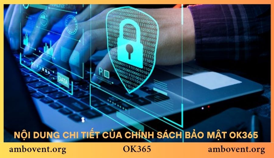Thông tin tổng quan về chính sách bảo mật OK365 