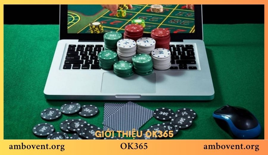 OK365 được thành lập khi nào? Hành trình phát triển chi tiết từ đầu