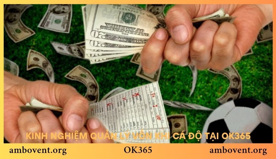 Kinh nghiệm quản lý vốn khi cá độ tại OK365