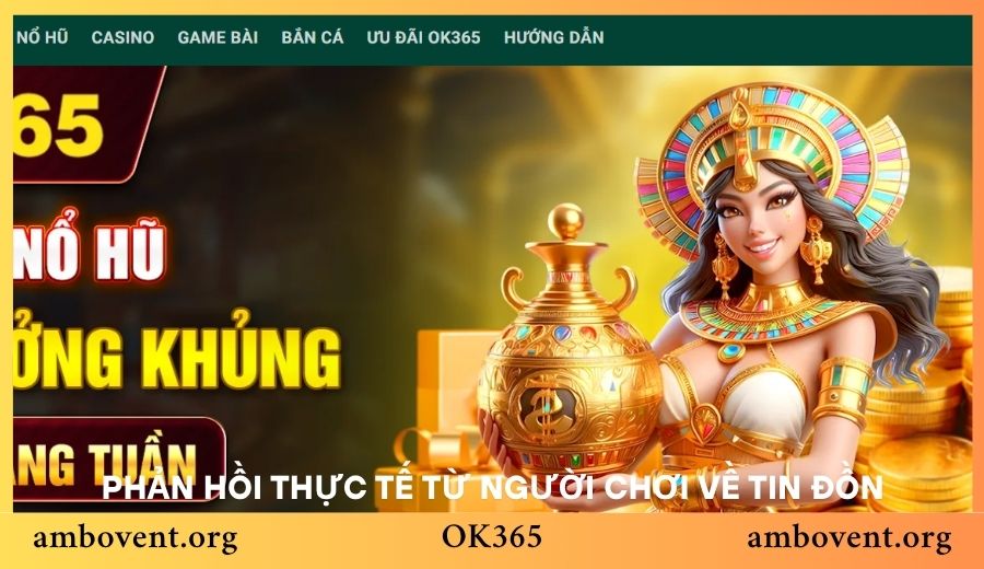 Phản hồi thực tế từ người chơi về tin đồn OK365 lừa đảo?